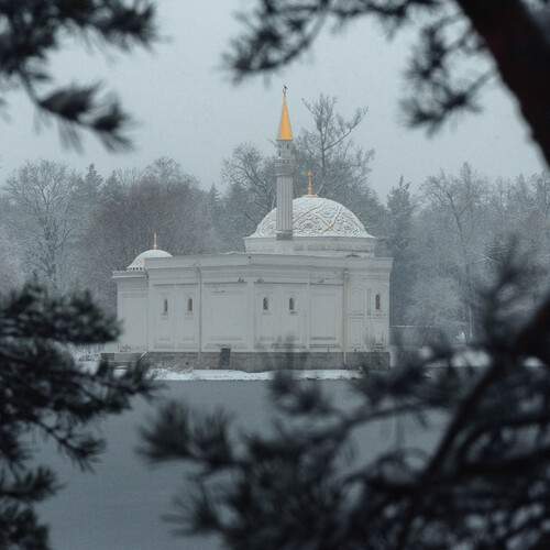 Photo #13122159