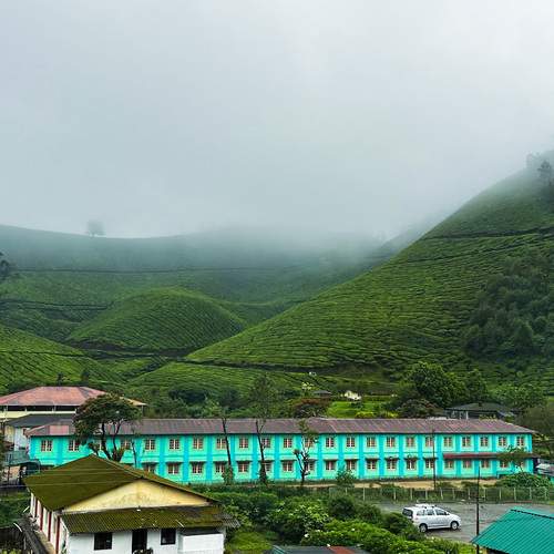 Photo #13122192