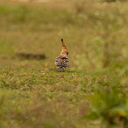 Photo #13122199