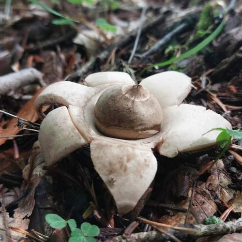 Photo #13122551