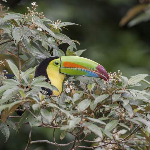 Do you agree that I have the most beautiful bill in the world?