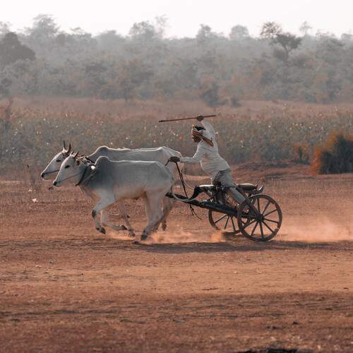 “Shared Momentum”