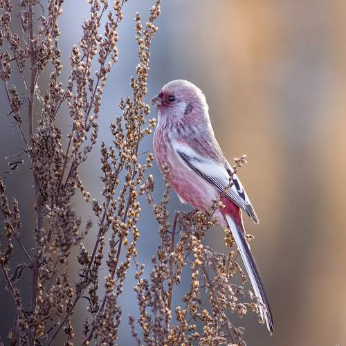 Photo #13122769