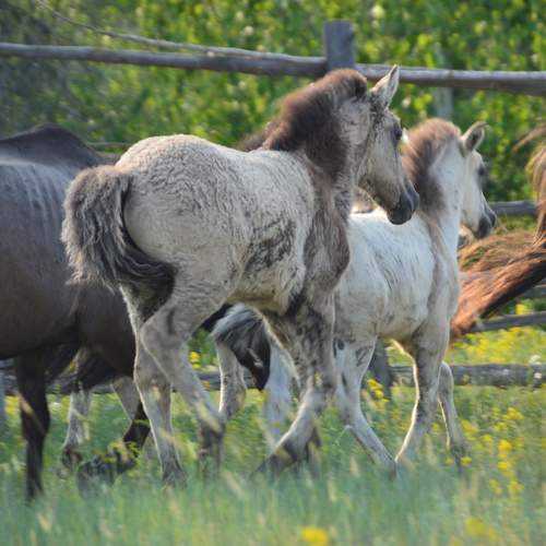 Photo #13122807