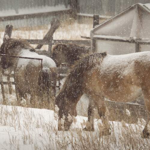 Photo #13122808