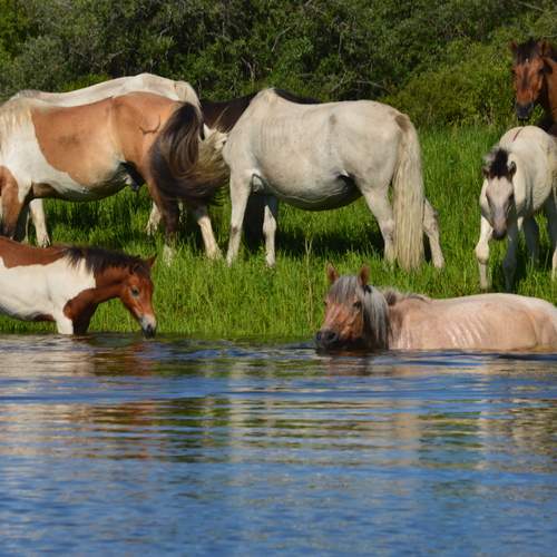Photo #13122824