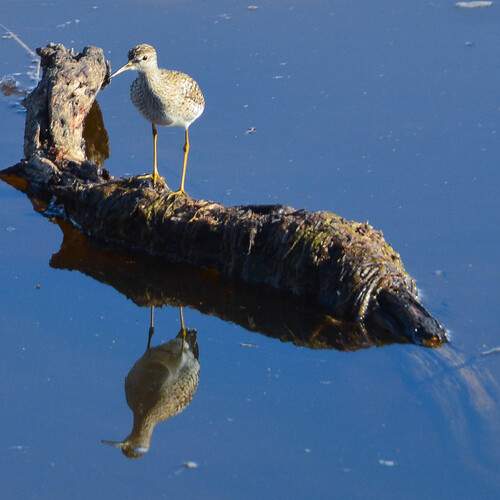Photo #13122856