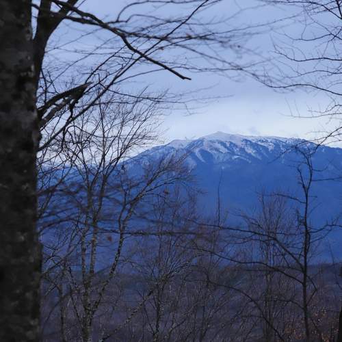Photo #13122926