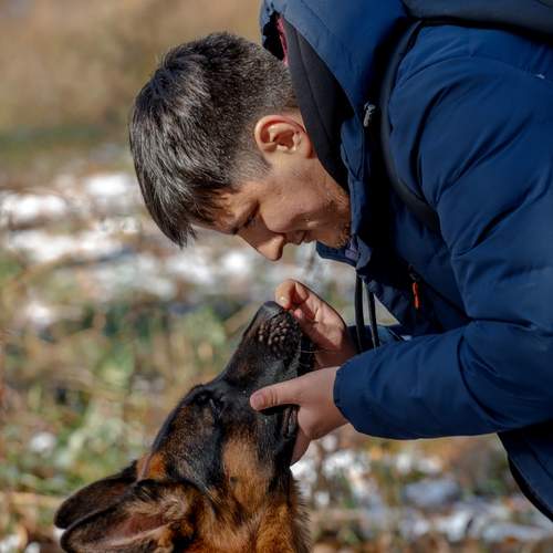 Photo #13122930