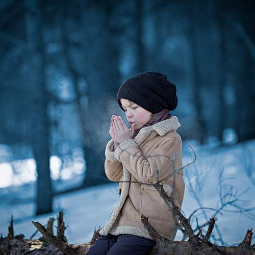 Photo #13122932