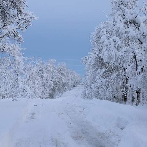 Photo #13122938