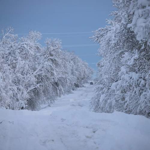Photo #13122939