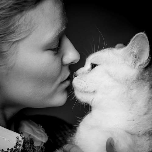 Photo #13122956