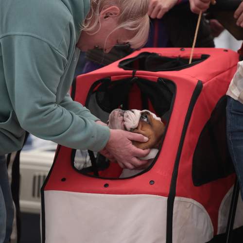Photo #13122961