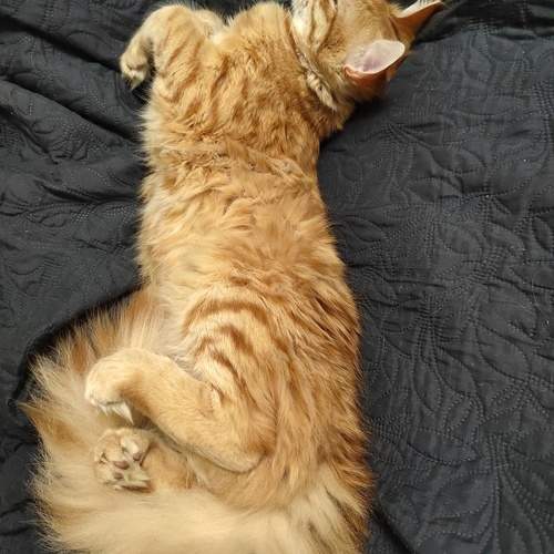 Photo #13123023