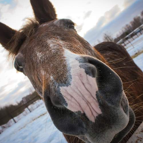 Photo #13123067