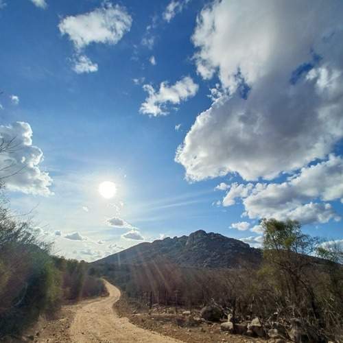 Photo #13123315