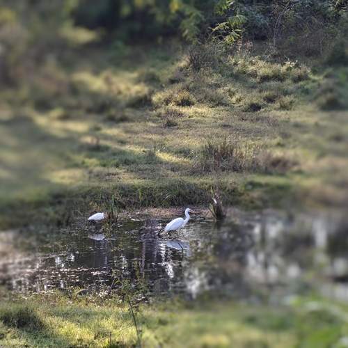 Photo #13123345