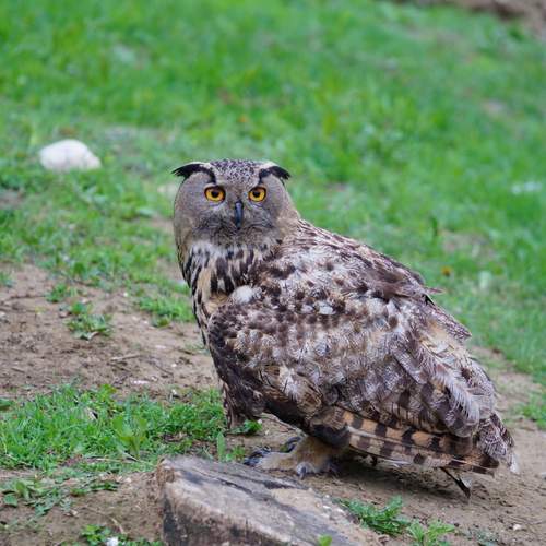 Photo #13123349