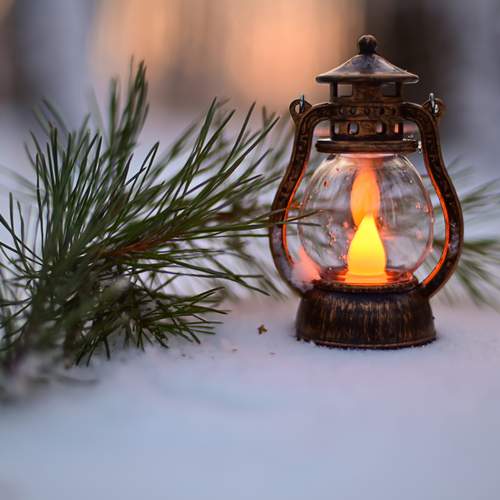 Photo #13123356