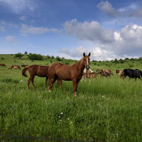 Photo #13123372