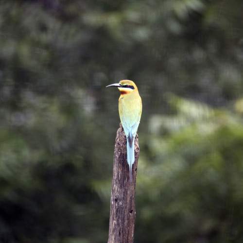 Photo #13123379