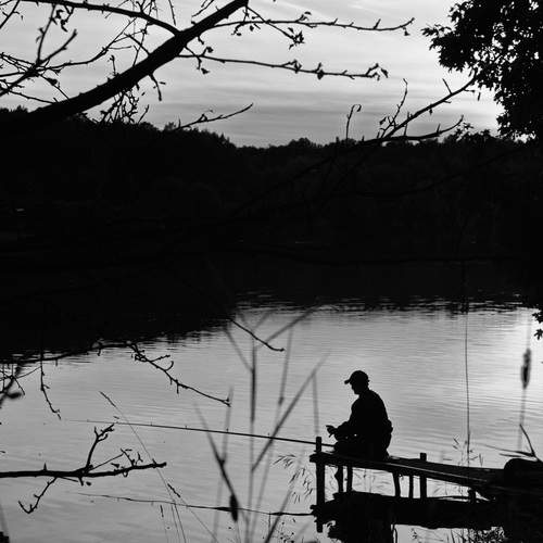 Photo #13123388