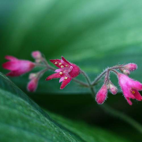 Photo #13123464