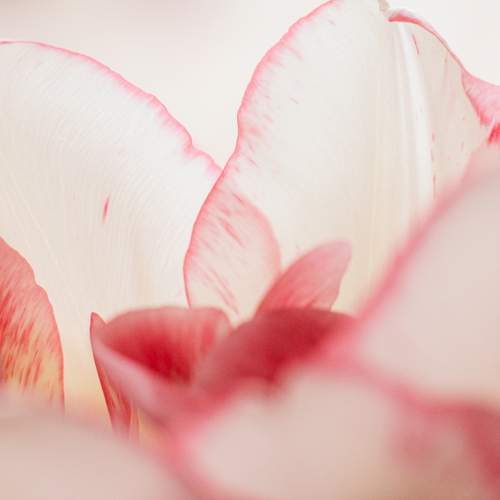 Photo #13123473
