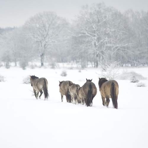 Photo #13123493