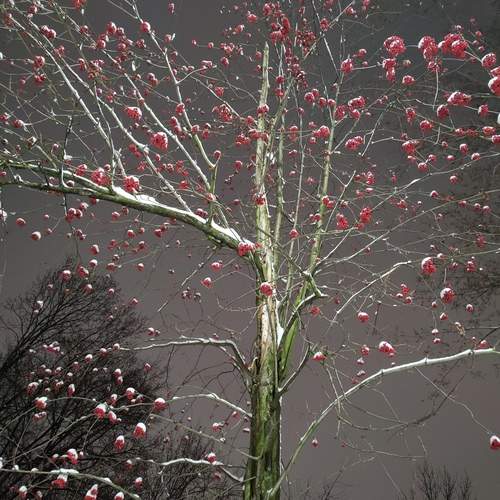 Photo #13123526