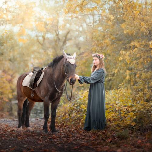Photo #13123547