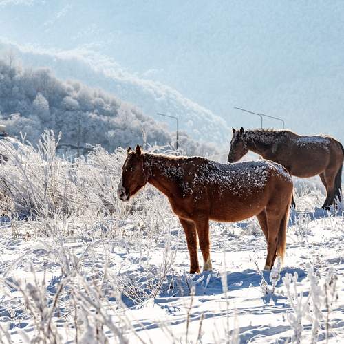 Photo #13123585