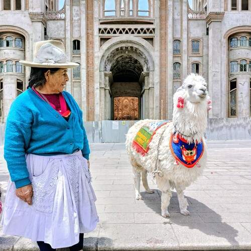 Photo #13123611