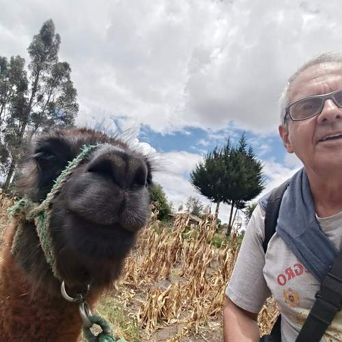 Photo #13123613