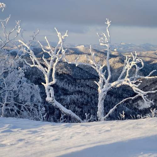 Photo #13123650