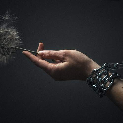 Photo #13123662