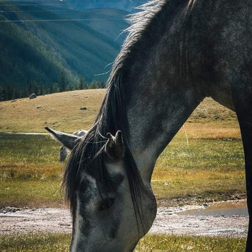 Photo #13123665