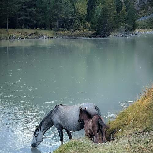 Photo #13123669