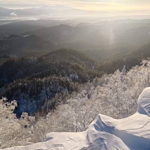 Photo #13123705