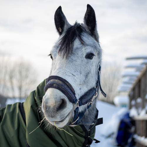 Photo #13123706