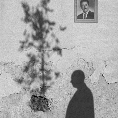 Reza Bavani