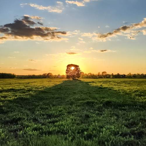 Photo #13123965