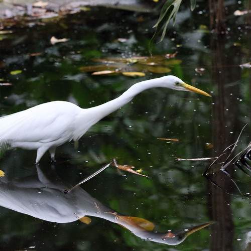 Photo #13124002