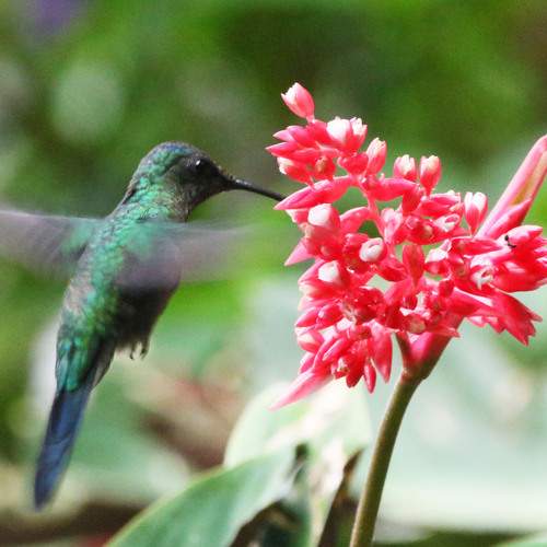 Photo #13124005