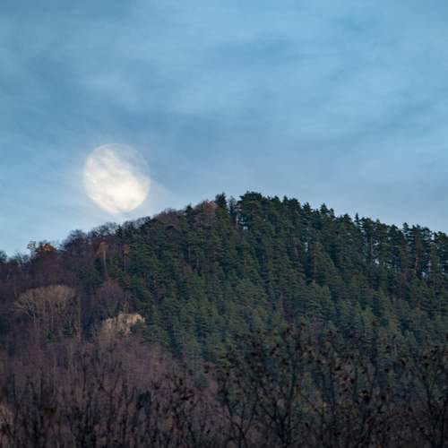 Photo #13124014