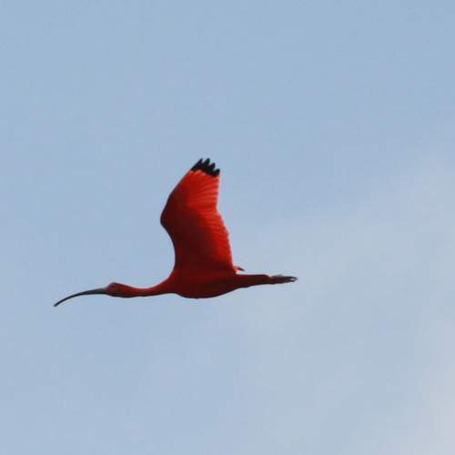 Photo #13124025