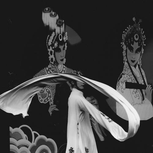 Photo #13124071