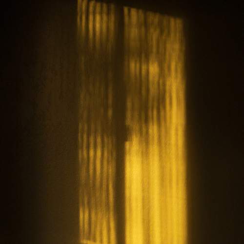 Photo #13124126