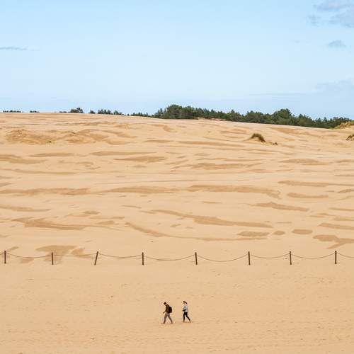 Photo #13124204